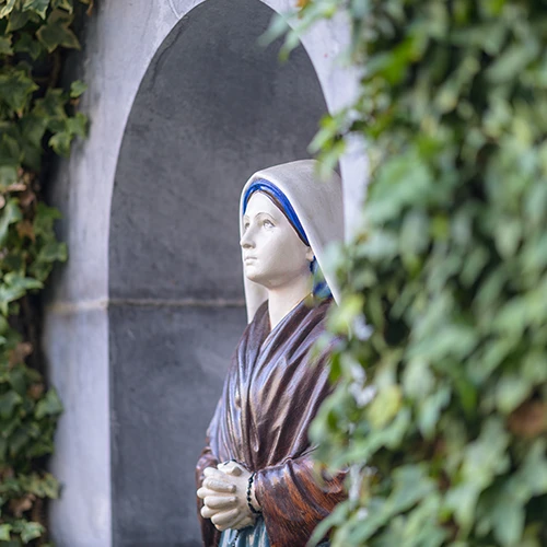 Accueil Marie Saint-Frai